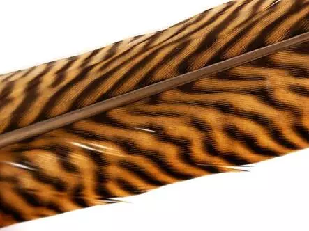 PLUMA DE COLA DE FAISAN 1° CALIDAD DORADO hotfly - 1...