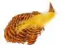 CUELLO COMPLETO DE FAISAN DORADO hotfly