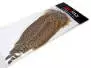 COLA COMPLETA DE FAISAN FEMENINO hotfly