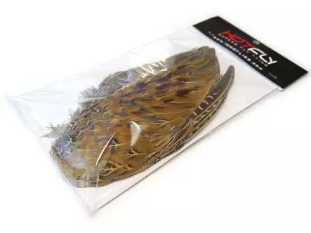 ALA DE FAISAN MACHO hotfly