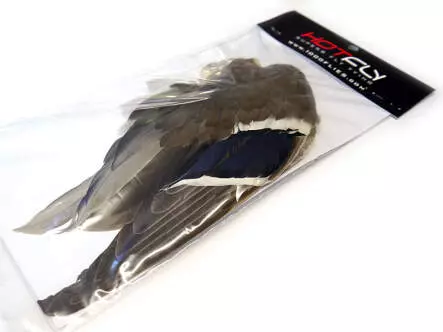 ALA DE PATO AZULÓN hotfly