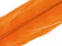 PLUMA BLEACHY DE COLA DE FAISAN 1° CALIDAD  hotfly -...