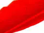 PLUMA QUILL DE GANSO (GOOSE QUILL FEATHER) hotfly - 1...