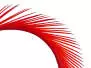 BIOTS DE PAVO (TURKEY BIOTS) XL-PACK hotfly - 5 pcas. -...