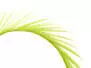BIOTS DE PAVO (TURKEY BIOTS) XL-PACK hotfly - 5 pcas. -...