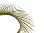 BIOTS DE PAVO (TURKEY BIOTS) XL-PACK hotfly - 5 pcas. -...