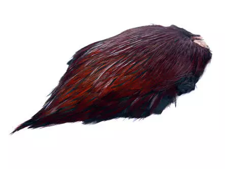 CUELLO DE GALLO basic fly fishing