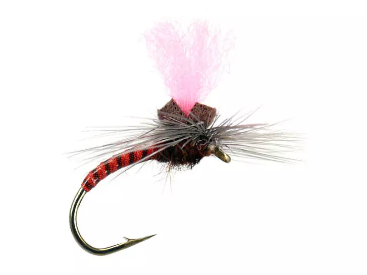 Rusty Synquill Klinkhamer