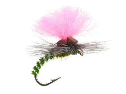 Olive Elite Klinky