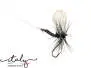 Black Gnat - 10 mm - 14