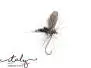 Midge - 6 mm - 20