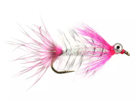MW Hot Magnus Pink 6