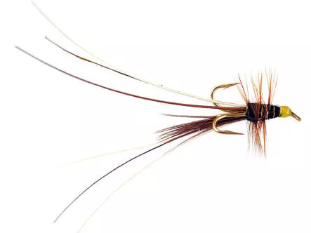 MW Francis Black Treble