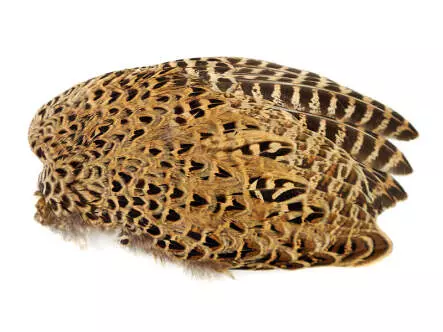 ALA DE FAISAN FEMENINO hotfly