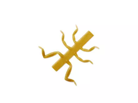 J:son Realistic Mayfly nymph legs - N2 - 12 pc. - olive...