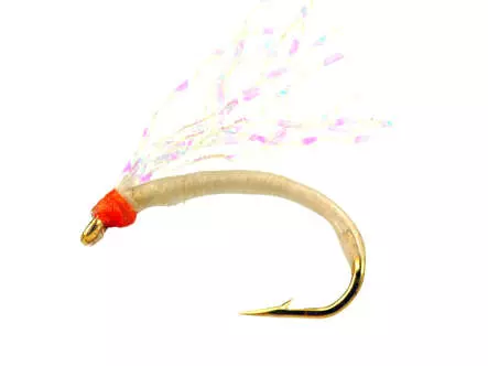 Camolera Alosa agone MOTHER OF PEARL