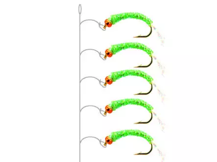 Camolera Alosa agone PEARL GREEN