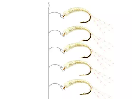 Camolera Alosa agone ALL PEARL
