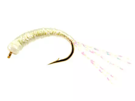 Camolera Alosa agone ALL PEARL