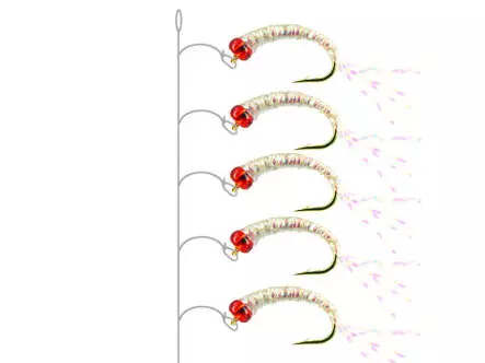 Camolera Alosa agone PEARL RED HEAD