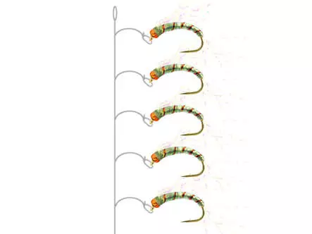 Camolera Alosa agone CRYSTAL WING