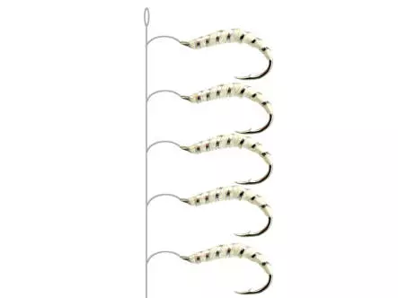 Camolera Alosa agone ALL WHITE