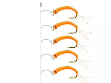 Camolera Alosa agone ORANGE GLOWING