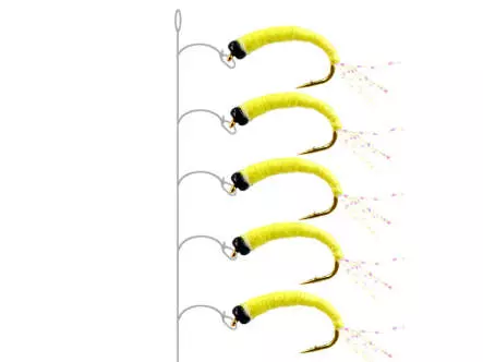 Camolera Alosa agone YELLOW GLOWING