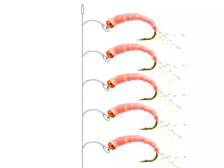 Camolera Alosa agone PINK GLOWING