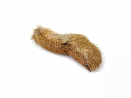 PATA DE LIEBRE delante hotfly