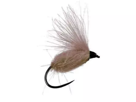 CDC Arpo BL - Natural