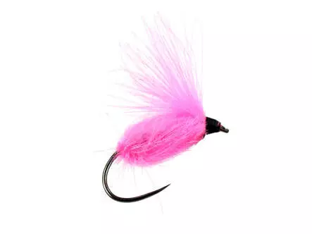 CDC Arpo BL - Pink