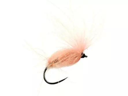 CDC Arpo BL - Salmon