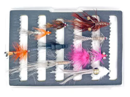 Set Trucha de mar V1 - 9 moscas