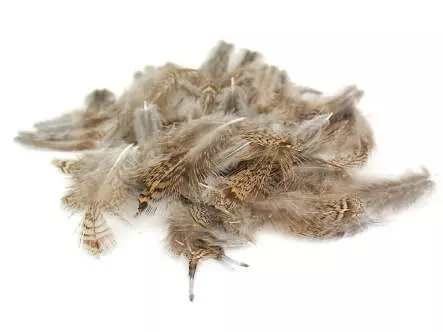 PLUMAS DE PERDIZ INGLESA hotfly - 3 g - selected natural...