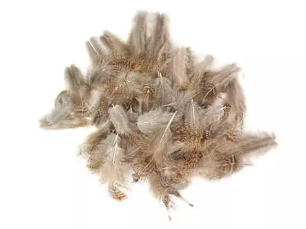 PLUMAS DE PERDIZ INGLESA hotfly - 3 g - selected natural...