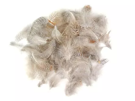 PLUMAS DE PERDIZ INGLESA hotfly - 3 g - selected natural...