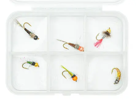 Selección NINFAS TUNGSTENO V1 - 6 moscas con caja