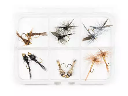 Selección moscas TRUCHA ESSENTIAL - 12 moscas con...