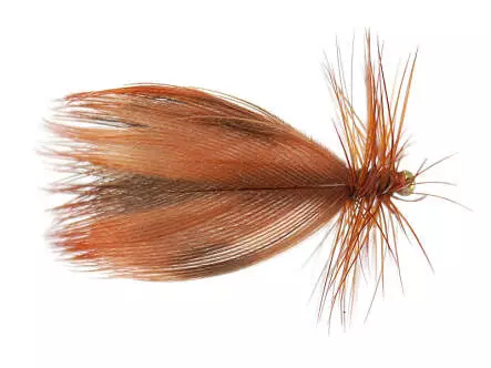 Europa Brown