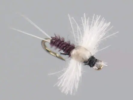 CDC Spinner - Trico