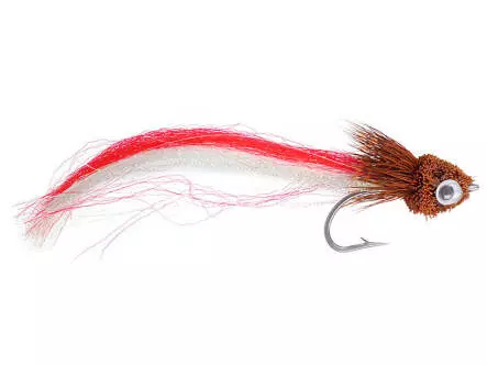Firetail Brown