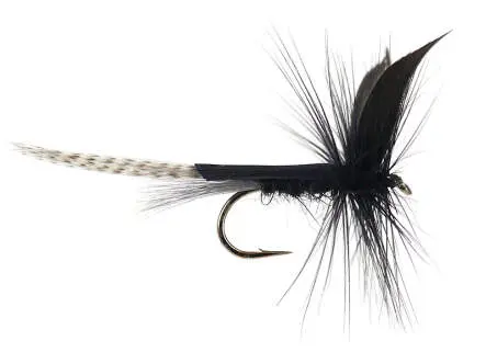 Black Mayfly Dun
