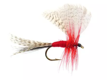 Montreal Mayfly Dun