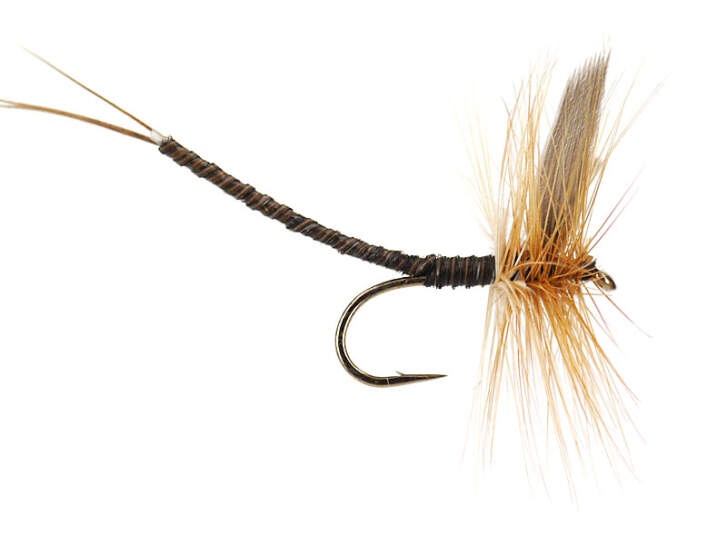 Ginger Quill Extended Body Mayfly