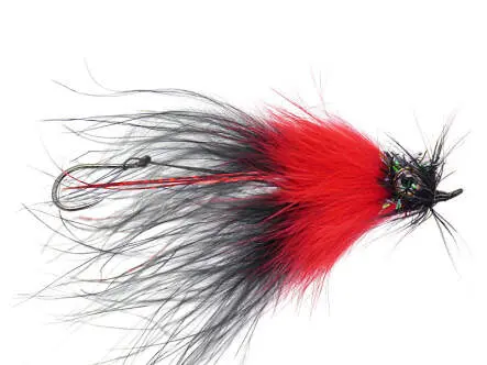 Berrys Dirty Bunny - Black & Red