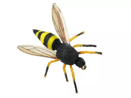 Wasp