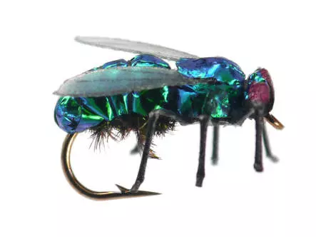 X-true Green Fly