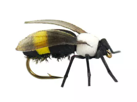 X-true Bumble Bee