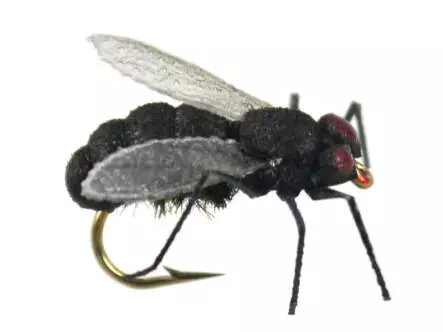 X-true Black Fly